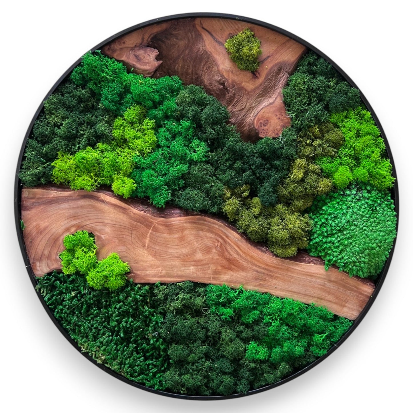 Round Moss & Cedar Wall Art with Irregular Linear Wood by Serenzy - white background product shot