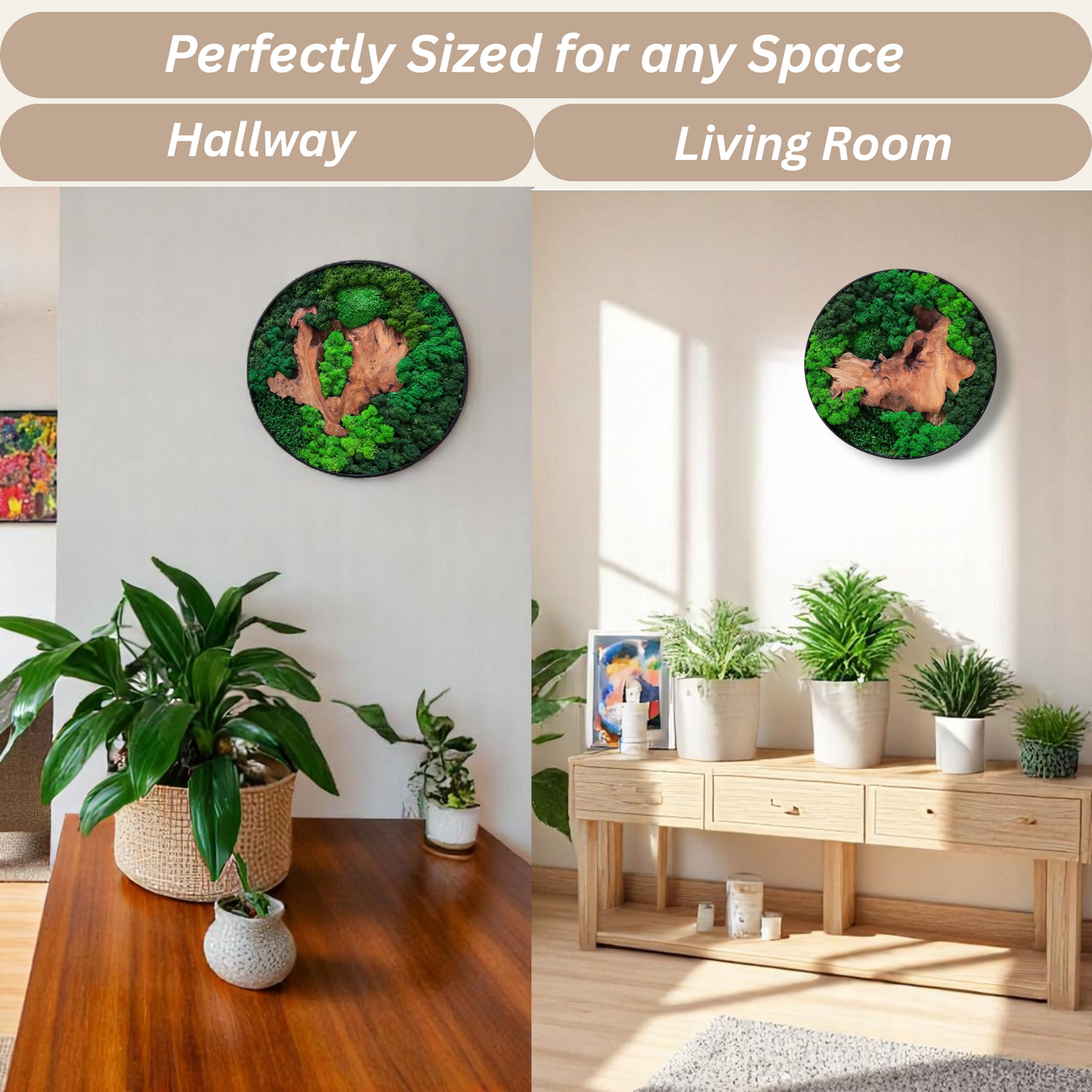 Serenzy Round Moss & Cedar Wall Art showing versatile display in living room and bedroom decor