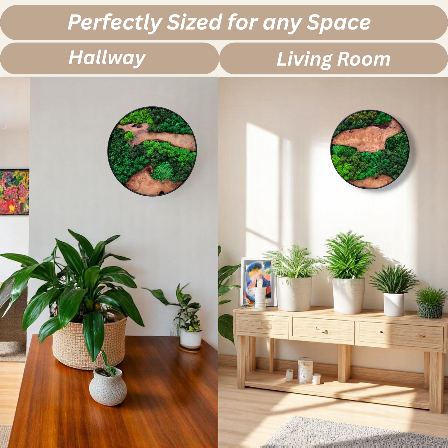 Serenzy Round Moss & Cedar Wall Art showing versatile display in living room and bedroom decor