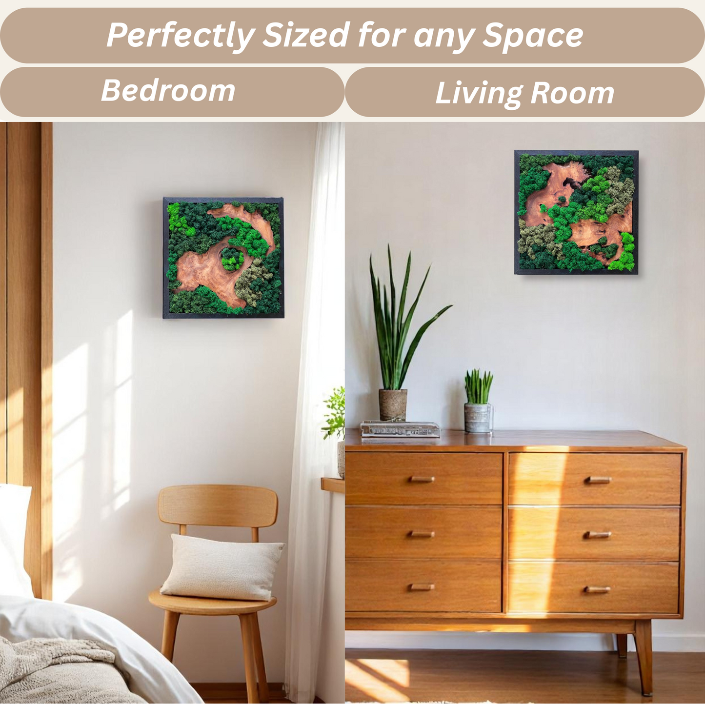 Serenzy Square Moss & Cedar Wall Art showing versatile display in living room and bedroom decor