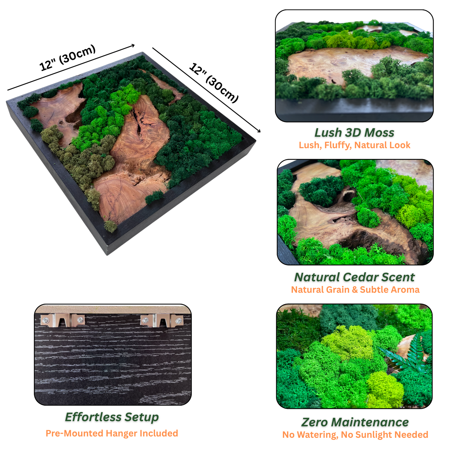 Dimensions and key features of Serenzy Square Moss & Cedar Wall Art: zero maintenance, natural cedar scent, lush 3D moss, preinstalled hanger
