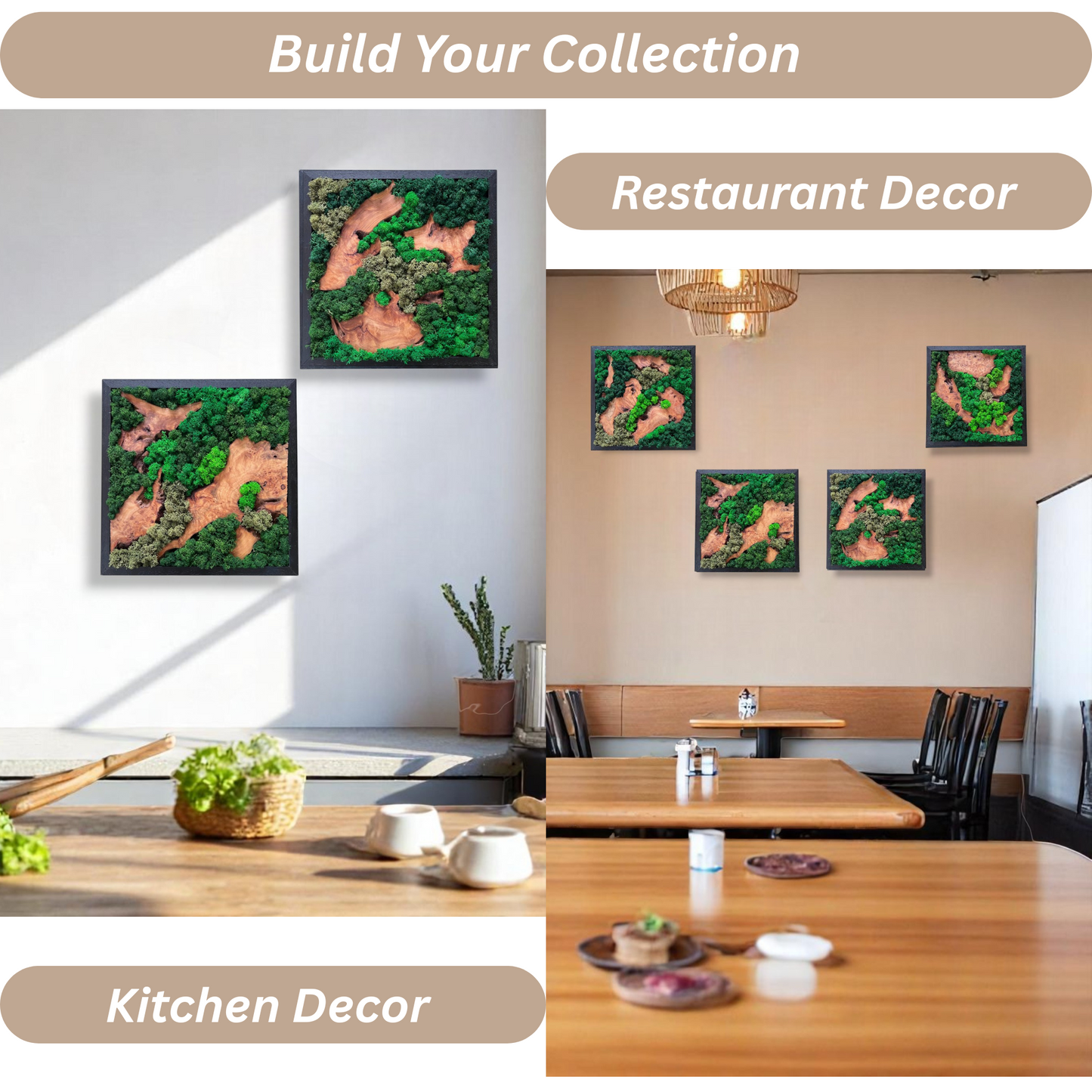 Serenzy Square Moss & Cedar Wall Art with Natural Scattered Wood enhancing a stylish restaurant or kitchen interior