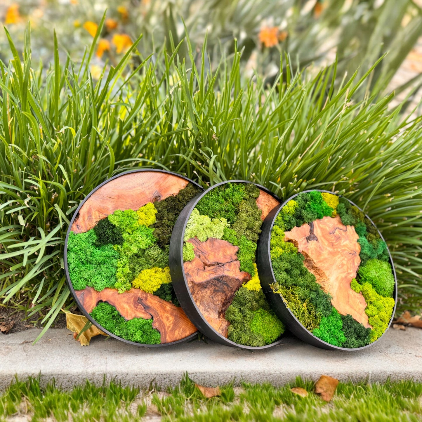 Serenzy Round Moss & Cedar Wall Art showcased in a natural, outdoor-inspired setting, emphasizing organic elements