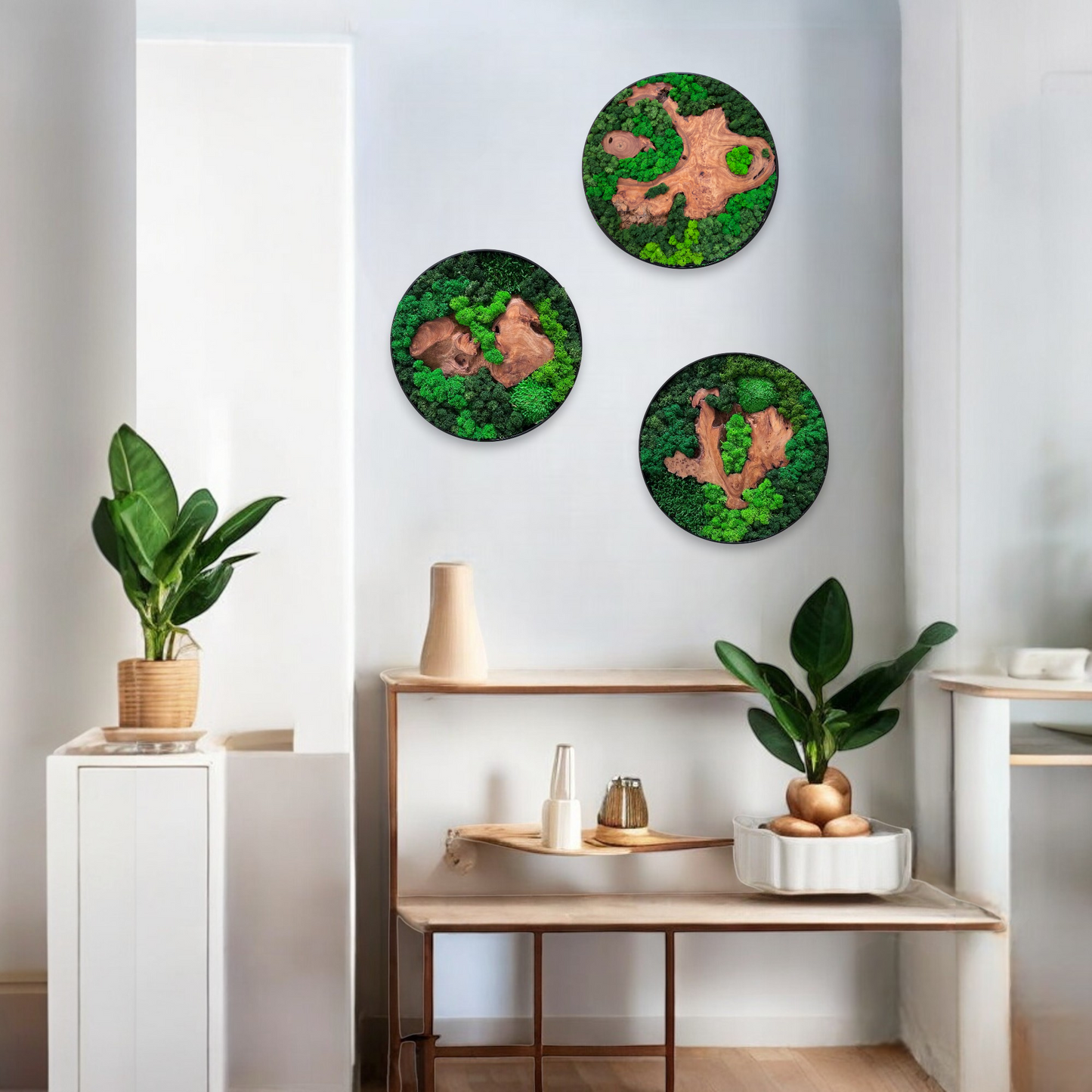 Three Serenzy Round Moss & Cedar Wall Art pieces creating a gallery wall above a console table with modern home decor