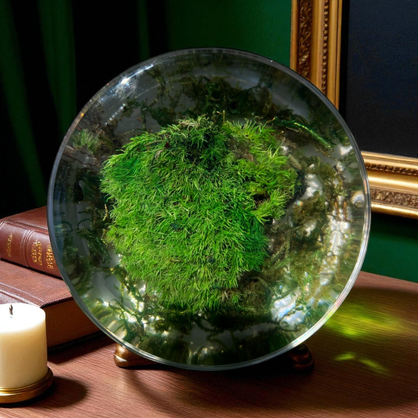 Serenzy Preserved Moss & Clear Resin Orb | Unique Biophilic Desk & Home Decor | Handcrafted Nature Art