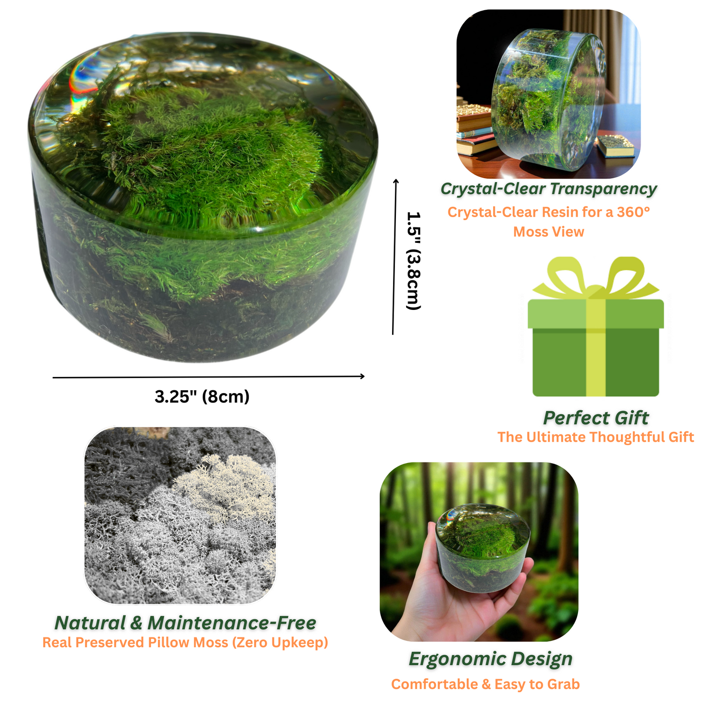 Serenzy Preserved Moss & Clear Resin Orb | Unique Biophilic Desk & Home Decor | Handcrafted Nature Art