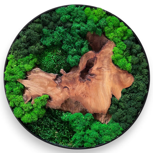Round Moss & Cedar Wall Art with dominant natural wood by Serenzy - white background product shot