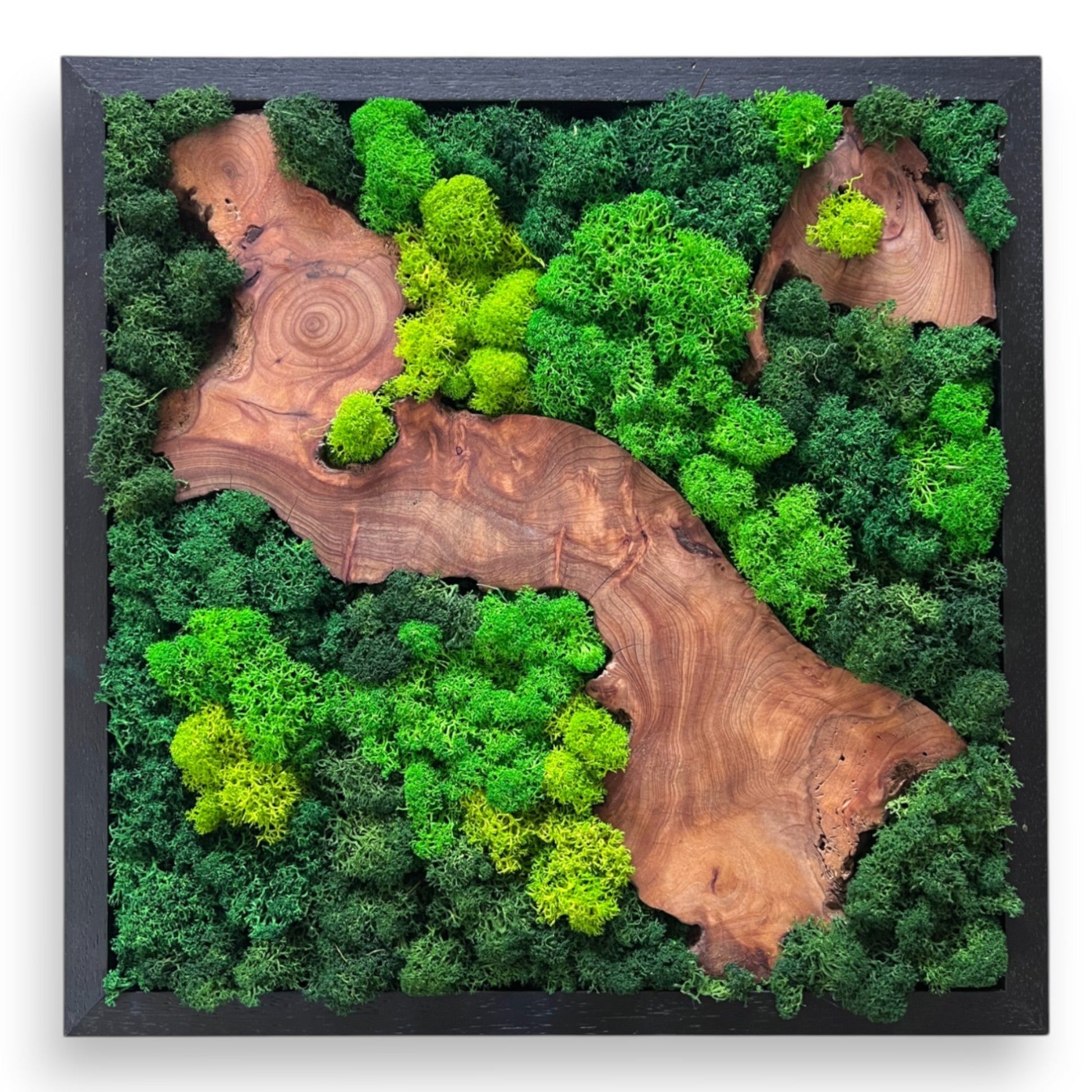 Square Moss & Cedar Wall Art with Angled Wood Design by Serenzy - white background product shot