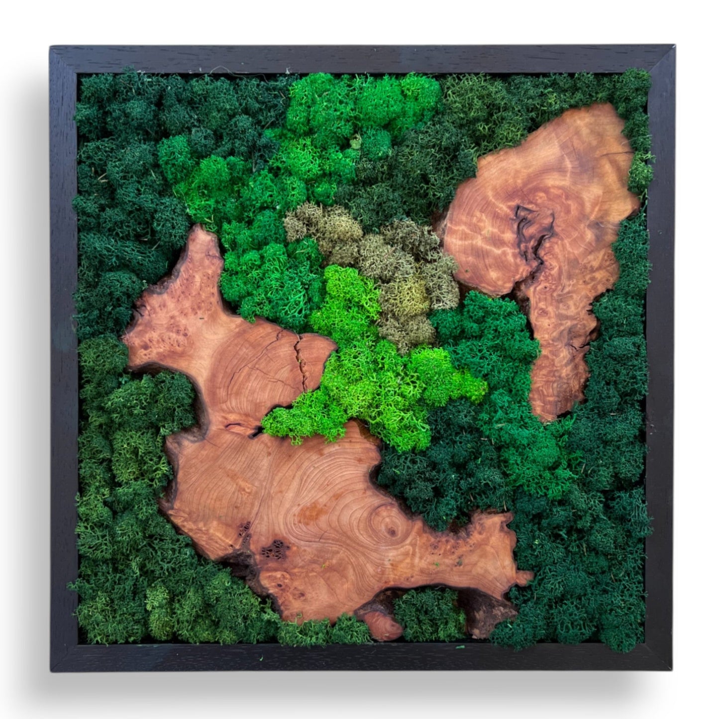 Square Moss & Cedar Wall Art with Diagonal Wood Pair by Serenzy - white background product shot