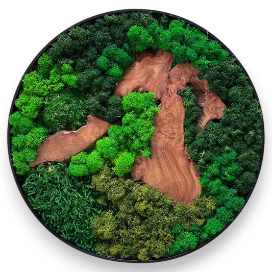 Round Moss & Cedar Wall Art with natural scattered wood by Serenzy - white background product shot