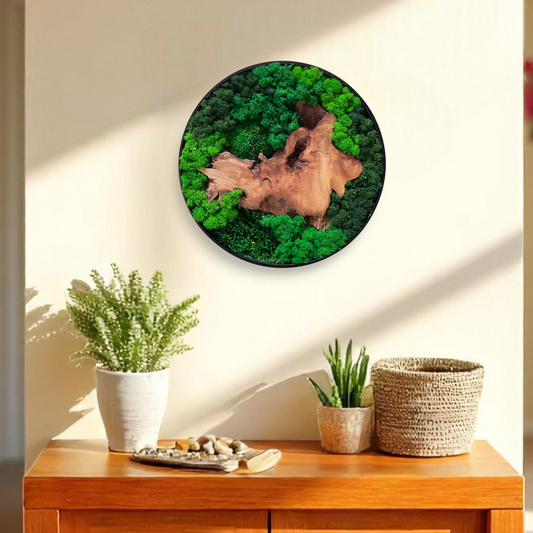 Serenzy Round Moss & Cedar Wall Art with dominant natural wood hanging in a modern living room above a cabinet with plants