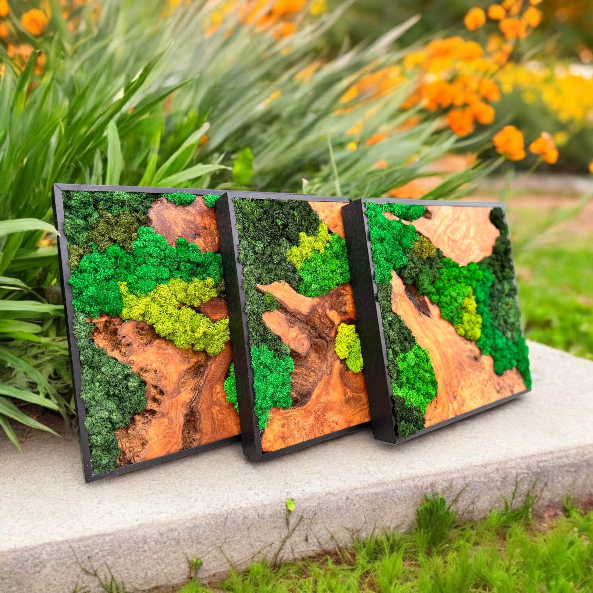 Serenzy Square Moss & Cedar Wall Art showcased in a natural, outdoor-inspired setting, emphasizing organic elements